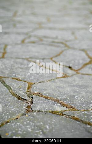 Vue rapprochée des carreaux de jardin pour chemin ou pavés Banque D'Images