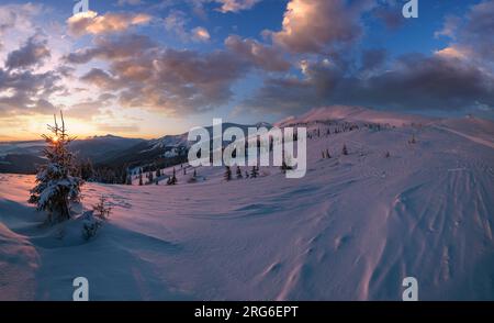 Pittoresque lever de soleil sur les alpes d'hiver. La plus haute crête des Carpates ukrainiens est Chornohora avec des sommets de Hoverla et Petros. Vue de Svydov Banque D'Images