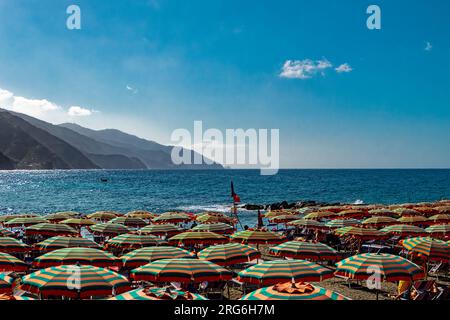 Parasols sur une plage italienne à Monterosso Banque D'Images