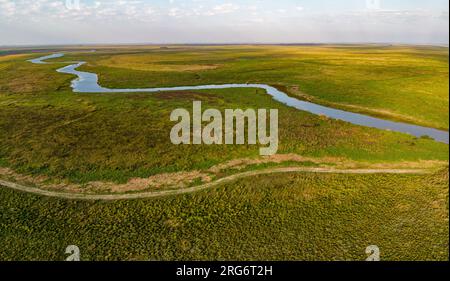 Vue aérienne de l'Esteros del Ibera, un immense marais et paradis pour les amoureux de la nature et les observateurs d'oiseaux en Argentine, Amérique du Sud - Panorama Banque D'Images