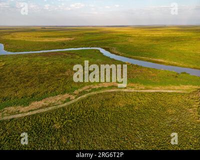 Vue aérienne de l'Esteros del Ibera, un immense marais et paradis pour les amoureux de la nature et les observateurs d'oiseaux en Argentine, Amérique du Sud Banque D'Images