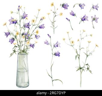 Clipart de jaune prairie et forêt, fleurs violettes bluebell, buttercup dans un vase en verre. Illustration de peinture à la main aquarelle sur Isolate White Banque D'Images