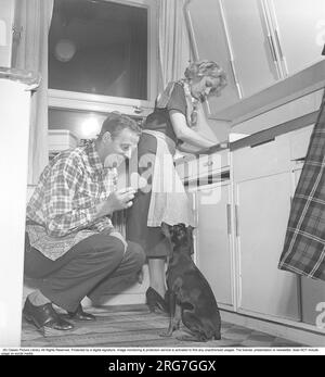 Dans la cuisine dans les années 1950 Ayoung couple est vu cuire des biscuits en pain d'épice en forme de coeur pour noël. Eh bien, elle l'est. Il tente leur chien de compagnie avec le biscuit en forme de cœur. Elle est l'actrice UllaCarin Rydén. Suède 1951. Réf. Kristoffersson BE65-12 Banque D'Images