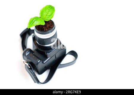 Fresh Shoot émerge d'un appareil photo miniature de jouet isolé sur fond blanc. Concept de dévoilement du potentiel créatif. Banque D'Images