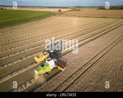 Langtoft, Lincolnshire, Royaume-Uni. 7 août 2023 UK Météo. Les agriculteurs profitent d'une pause dans le temps et récoltent de l'orge sous le soleil de fin de soirée dans le Lincolnshire crédit photo : Tim Scrivener/Alamy Live News Banque D'Images