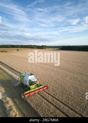 Langtoft, Lincolnshire, Royaume-Uni. 7 août 2023 UK Météo. Les agriculteurs profitent d'une pause dans le temps et récoltent de l'orge sous le soleil de fin de soirée dans le Lincolnshire crédit photo : Tim Scrivener/Alamy Live News Banque D'Images