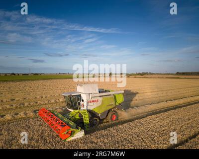 Langtoft, Lincolnshire, Royaume-Uni. 7 août 2023 UK Météo. Les agriculteurs profitent d'une pause dans le temps et récoltent de l'orge sous le soleil de fin de soirée dans le Lincolnshire crédit photo : Tim Scrivener/Alamy Live News Banque D'Images
