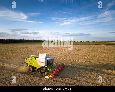 Langtoft, Lincolnshire, Royaume-Uni. 7 août 2023 UK Météo. Les agriculteurs profitent d'une pause dans le temps et récoltent de l'orge sous le soleil de fin de soirée dans le Lincolnshire crédit photo : Tim Scrivener/Alamy Live News Banque D'Images