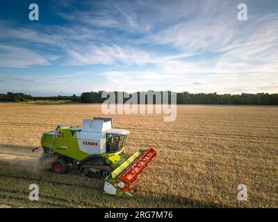 Langtoft, Lincolnshire, Royaume-Uni. 7 août 2023 UK Météo. Les agriculteurs profitent d'une pause dans le temps et récoltent de l'orge sous le soleil de fin de soirée dans le Lincolnshire crédit photo : Tim Scrivener/Alamy Live News Banque D'Images