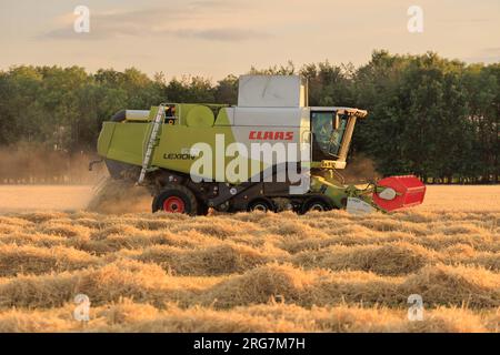 Langtoft, Lincolnshire, Royaume-Uni. 7 août 2023 UK Météo. Les agriculteurs profitent d'une pause dans le temps et récoltent de l'orge sous le soleil de fin de soirée dans le Lincolnshire crédit photo : Tim Scrivener/Alamy Live News Banque D'Images