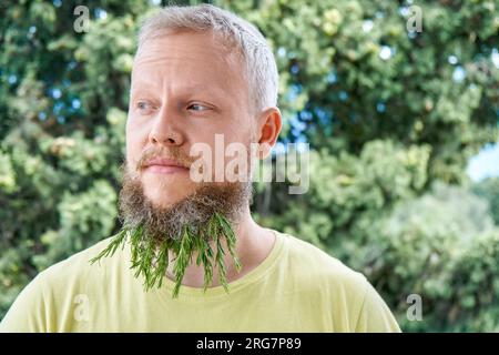 Petites branches de romarin parfumé dans la barbe de l'homme sérieux. La personne adulte agit enfantin avec une expression excitée et amusée dans un pré ensoleillé Banque D'Images