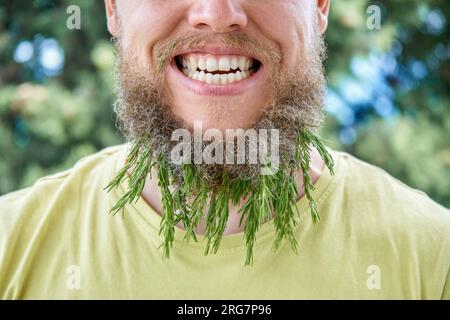 Barbe d'homme souriant et brin parfumé de romarin. Adulte se comportant enfantin homme dans une prairie ensoleillée avec expression excitée sur le visage en gros plan Banque D'Images