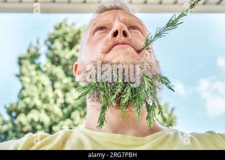 Homme adulte avec des brins de romarin parfumés dans la barbe et les lèvres. Mâle à l'air enfantin excité et agissant avec du romarin frais dans une prairie ensoleillée Banque D'Images