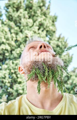 Homme adulte avec des brins de romarin parfumés dans la barbe et les lèvres. Mâle à l'air enfantin excité et agissant avec du romarin frais dans une prairie ensoleillée Banque D'Images