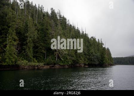 Une forêt tropicale luxuriante recouvre la baie Clayaquot, sur la côte ouest de l'île de Vancouver au Canada. Banque D'Images