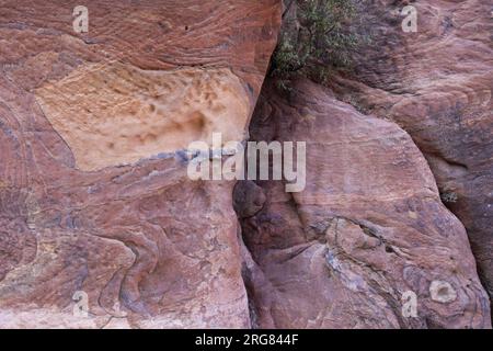 Patrons de grès autour de la ville de Petra, site du patrimoine mondial de l'UNESCO, Wadi Musa, Jordanie, Moyen-Orient Banque D'Images