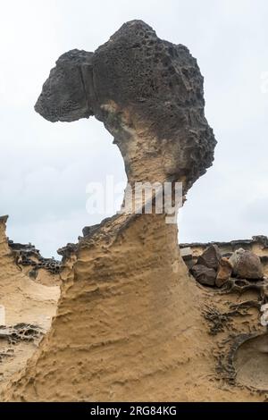 Jolies formations Princess Rock à Yehliu Geopark, Taipei, Taiwan. Banque D'Images