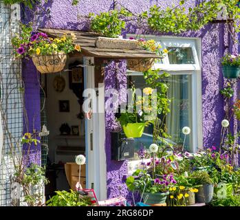 Petit cottage couvert de plantes et de fleurs aux couleurs vives autour de la porte et de la fenêtre en été Banque D'Images