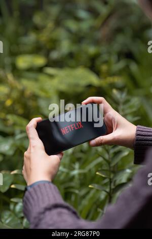 CHIANG MAI, THAÏLANDE - 08 AOÛT 2023 : une femme tient son iPhone 14 Pro max avec le logo rouge de la marque Netflix sur son écran le soir. Netflix est une entreprise mondiale Banque D'Images