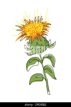 Illustration vectorielle de fleur de carthame. Un dessin au trait continu de carthame Illustration de Vecteur