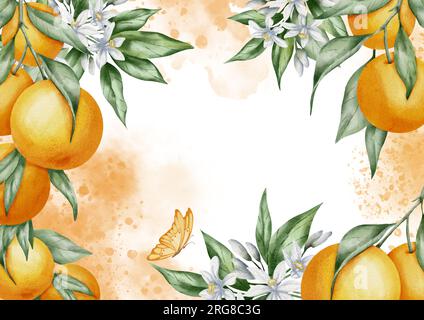 Cadre rectangulaire orange avec agrumes. Illustration à l'aquarelle dessinée à la main avec des branches de mandarines, des feuilles et des fleurs. Modèle pour cartes de voeux ou invitations de mariage dans le style tropical. Banque D'Images