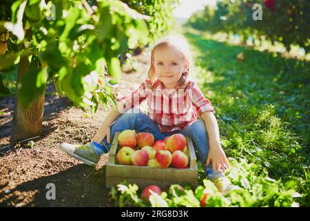 Adorable fille d'enfant d'âge préscolaire en chemise rouge et blanche cueillant des pommes biologiques mûres rouges dans le verger ou à la ferme un jour d'automne. Activités d'automne en plein air pour ki Banque D'Images