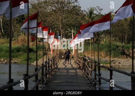 Bantul, Yogyakarta, Indonésie. 8 août 2023. Un homme marche sur un pont de bambou qui divise la rivière Progo à Bantul. Le pont en bambou qui relie les régences de Kulonprogo et de Bantul est décoré de drapeaux rouges et blancs pour accueillir le 78e anniversaire de l'indépendance de la République d'Indonésie le 17 août. (Image de crédit : © Angga Budhiyanto/ZUMA Press Wire) USAGE ÉDITORIAL SEULEMENT! Non destiné à UN USAGE commercial ! Banque D'Images