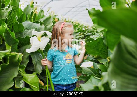 Adorable fille cueillant de belles fleurs de lys arum à la ferme. Activités estivales en plein air pour les petits enfants. Banque D'Images