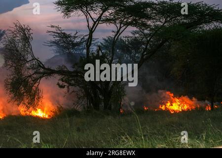 Grand feu de forêt photographié en Tanzanie Banque D'Images