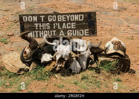 Panneau d'avertissement et crânes d'animaux dans un African Safari Lodge. Photographié au Kenya Banque D'Images
