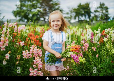 Adorable fille cueillant de belles fleurs de gladiolus à la ferme. Activités estivales en plein air pour les petits enfants. Banque D'Images