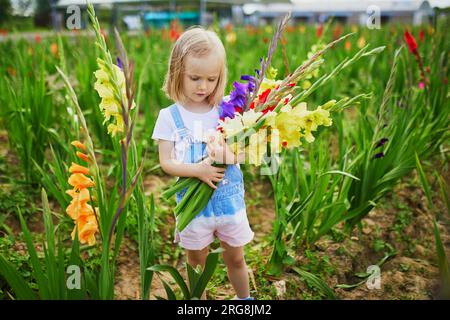 Adorable fille cueillant de belles fleurs de gladiolus à la ferme. Activités estivales en plein air pour les petits enfants. Banque D'Images