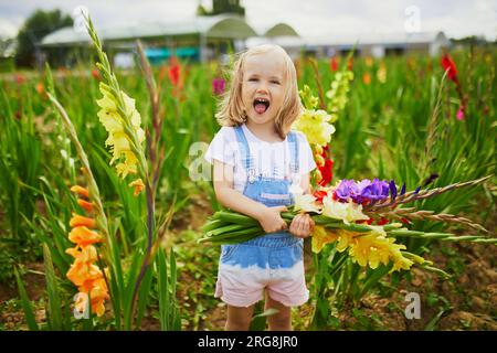 Adorable fille cueillant de belles fleurs de gladiolus à la ferme. Activités estivales en plein air pour les petits enfants. Banque D'Images