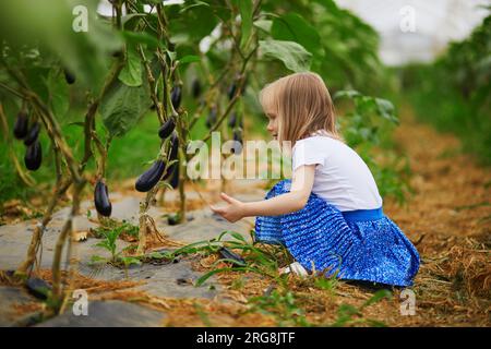 Adorable fille cueillant des aubergines biologiques fraîches à la ferme. Délicieux légumes pour les petits enfants. Activités estivales en plein air pour les petits enfants. Mourir en bonne santé Banque D'Images