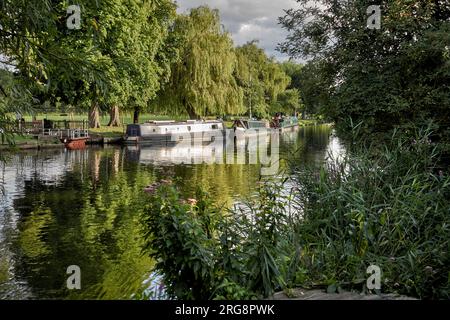 Stratford upon Avon bateaux amarrés sur la rivière Avon dans la lumière du soir. Angleterre Royaume-Uni Banque D'Images