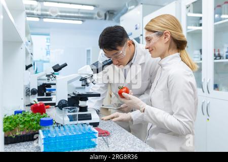 Recherche des aliments et des produits alimentaires en laboratoire. De jeunes scientifiques internationaux, un asiatique et une femme étudient la composition des légumes au microscope. Banque D'Images