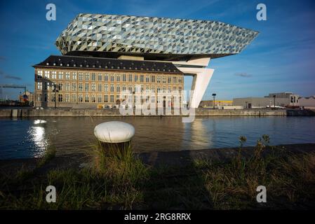 Vue du bâtiment de l'Autorité portuaire d'Anvers, l'œuvre de l'architecte Zaha Hadid situé sur la place Zaha Hadidplein dans le port d'Anvers, Belgique, A. Banque D'Images