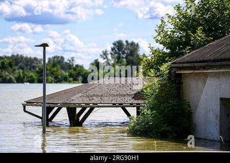 Soderica, Croatie. 08 août 2023. Les gens combattent la haute rivière Drava qui flottait des maisons près du lac Soderica à Koprivnica, Croatie le 08. Août 2023. Photo : Igor Soban/PIXSELL crédit : Pixsell/Alamy Live News Banque D'Images