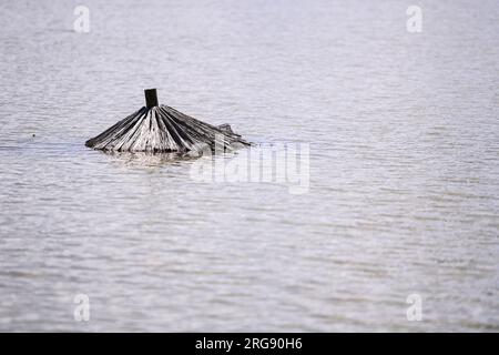 Soderica, Croatie. 08 août 2023. Les gens combattent la haute rivière Drava qui flottait des maisons près du lac Soderica à Koprivnica, Croatie le 08. Août 2023. Photo : Igor Soban/PIXSELL crédit : Pixsell/Alamy Live News Banque D'Images