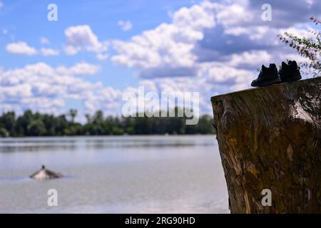 Soderica, Croatie. 08 août 2023. Les gens combattent la haute rivière Drava qui flottait des maisons près du lac Soderica à Koprivnica, Croatie le 08. Août 2023. Photo : Igor Soban/PIXSELL crédit : Pixsell/Alamy Live News Banque D'Images