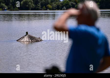 Soderica, Croatie. 08 août 2023. Les gens combattent la haute rivière Drava qui flottait des maisons près du lac Soderica à Koprivnica, Croatie le 08. Août 2023. Photo : Igor Soban/PIXSELL crédit : Pixsell/Alamy Live News Banque D'Images