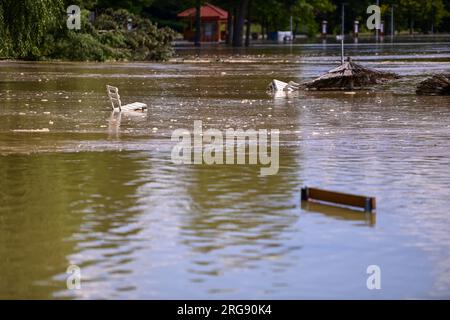 Soderica, Croatie. 08 août 2023. Les gens combattent la haute rivière Drava qui flottait des maisons près du lac Soderica à Koprivnica, Croatie le 08. Août 2023. Photo : Igor Soban/PIXSELL crédit : Pixsell/Alamy Live News Banque D'Images