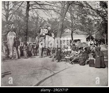 Un groupe d'enfants s'assoient au sommet d'un éléphant au Regent's Park Zoo dans le nord-ouest de Londres. Banque D'Images