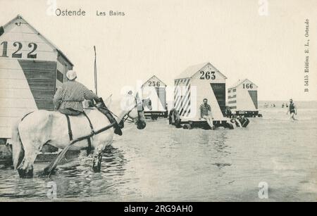 Une scène de plage d'Ostende, en Belgique, représentant une dame assise à cheval sur l'un des chevaux utilisés pour tirer les cabanes de plage (sur la photo, chacune avec leur propre numéro) dans et hors de l'eau. Banque D'Images