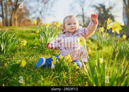 Une fille d'un an assise sur l'herbe avec du narcissi jaune. Enfant en bas âge regardant des fleurs un jour de printemps dans le parc. Adorable petit enfant explorant la nature Banque D'Images