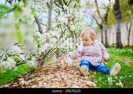 Une fille d'un an assise sur le sol près des pommiers en pleine floraison un jour de printemps. Petit enfant profitant du printemps Banque D'Images