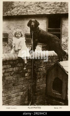 Coéquipiers - Une jeune fille (un tout-petit âgé d'environ 3 ans) et un épagneul noir Working Cocker s'assoient/se tiennent ensemble sur le mur de leur arrière-cour. Banque D'Images