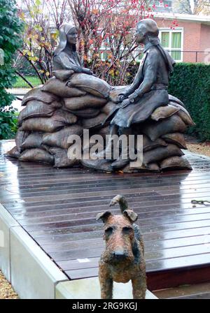 Ce mémorial se trouve dans le jardin de l'hôtel Ariane à Ypres. Les deux sont le titre donné à deux laines britanniques extraordinaires, Elsie Knocker et Mairie Chisholm, qui sont venues en Belgique et ont mis en place des installations médicales dans la ville de Pervyse pour soutenir l'armée belge. Leur biographe, Diane Atkinson, a déménagé pour avoir une statue commémorative installée à Pervyse, mais la ville a refusé. Natasha, propriétaire de l'Hôtel Ariane, un lieu de séjour préféré des visiteurs britanniques à Ypres, a offert d'avoir la statue dans les jardins. Les deux dames sont assises sur un mur de sac de sable avec leur chien, Shot, au premier plan. Banque D'Images