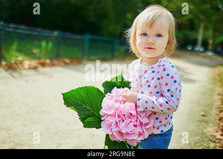 Adorable tout-petit avec une grande fleur rose hortensia. Heureux souriant fille d'un an marchant dans le parc un jour d'été. Banque D'Images