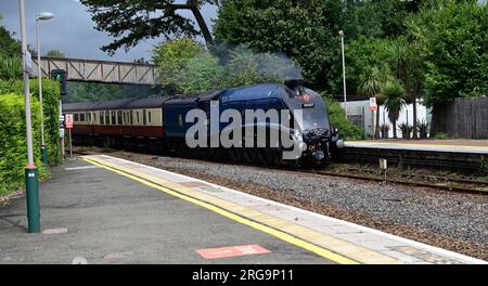 LNER Class A4 Pacific No 60007 'Sir Nigel Gresley' passant par la gare de Torquay avec l'English Riviera Express jusqu'à Kingswear le 5 août 2023. Banque D'Images